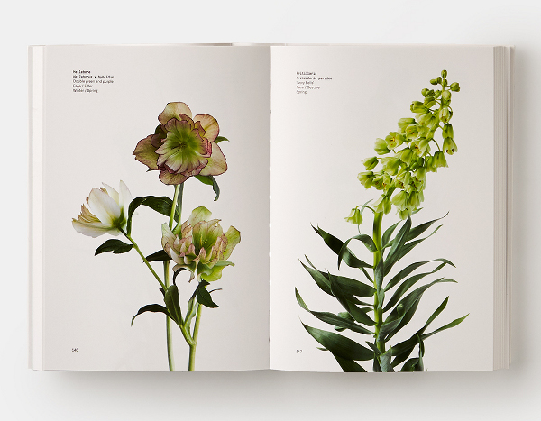 Flower Guide.pdf BelleWood-Gardens - Diary
