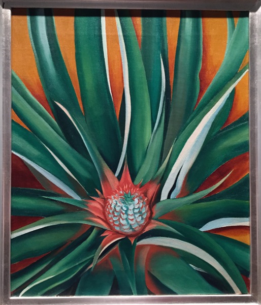 BelleWood-Gardens - Diary